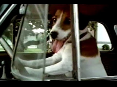 Mein Hund Skip - Trailer (2000)
