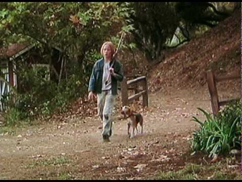 Shiloh (1996) Movie Trailer (Beagle dog)